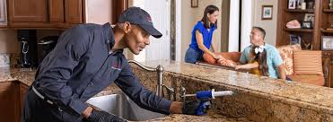 Trusted Powdersville, SC Pest Control Experts